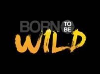 Born To Be Wild February 2 2025